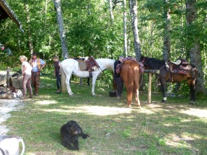 randonnee equestre isere