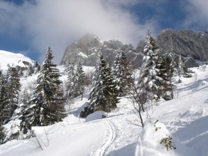 Le Cornafion- en ski de randonnée