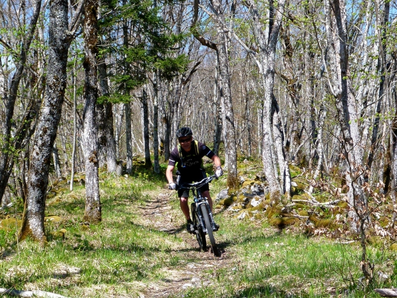 Boucle VTT Rimets, La Balme, Romeyère