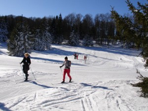 Ski de fond