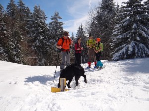 <strong>Raquettes</strong><br />guidés par Do le chien du gîte des Rimets Raquettes