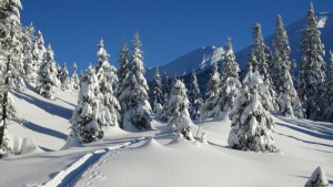 Le Vercors sous la neige