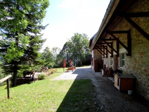 Le gîte côté cour- les box, la niche de Do, parasols et chaise longue