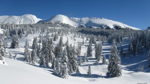 Les hauts plateaux- Les vastes étendues sauvages et préservées du Vercors