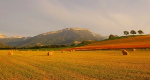 Lumières de fin de journée- sur un pré de fauche du Vercors