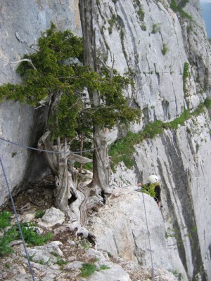 Via Cordade la Vierge- au dessus de St-Martin en Vercors