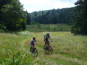 VTT Vercors- sur le parcours 33 de l'espace VTT/FFC Royans-Coulmes