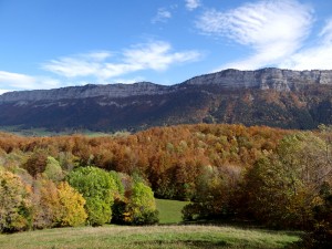 Le pré du gîte à l'automne- Couleurs chatoyantes, feuilles virevoltantes et joli ciel bleu...