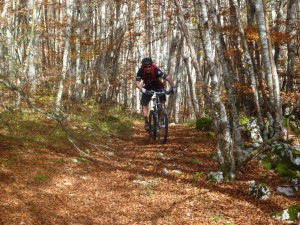 VTT Vercors Massif des Coulmes- Le single du circuit 34