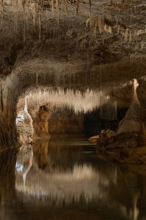 Grotte de Choranche- 