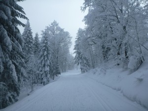 Seul sur les pistes- à profiter de la quiétude des Coulmes !