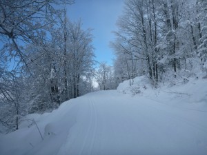 Piste bleue côté Patente- 