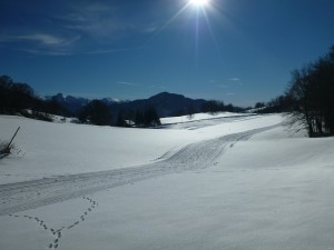 Les Prés- Retour aux Prés, un beau soleil et des températures d'un mois de février qui incitent à la pause :)