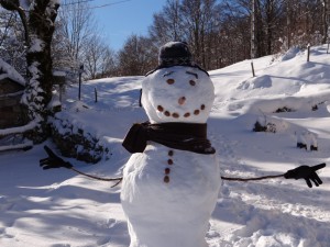 Noël 2013- Bienvenue au gîte des Rimets :)