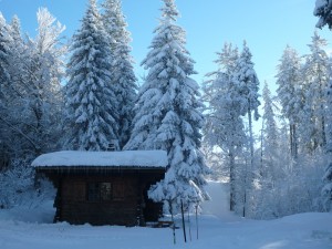 Refuge de Serre de Satre- sur les pistes de ski de fond au beau milieu de la forêt des Coulmes