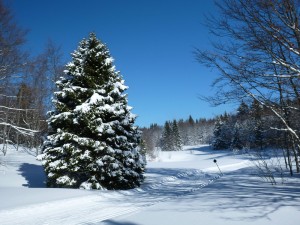 Piste noire du Follet- 