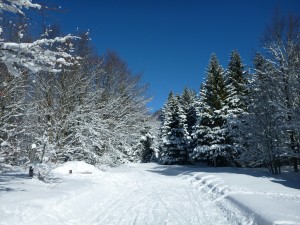 Piste noire du Follet- 