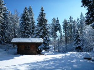 Refuge du Serre de Satre- 