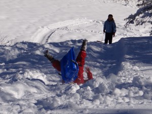 Luge dans le pré du gîte- avec acrobaties pour les plus téméraires