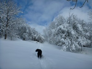 Rando raquettes à proximité du gîte des Rimets- 