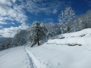 Rando raquettes à proximité du gîte des Rimets- 