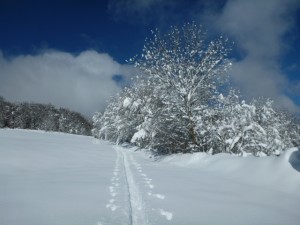 Rando raquettes à proximité du gîte des Rimets- 