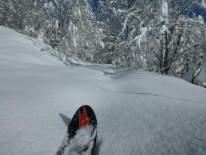 Vercors Ski de  randonnée nordique- autour du gîte des Rimets