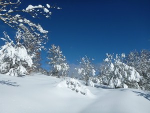 Vercors Ski de  randonnée nordique- autour du gîte des Rimets