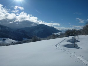 Vercors Ski de  randonnée nordique- autour du gîte des Rimets