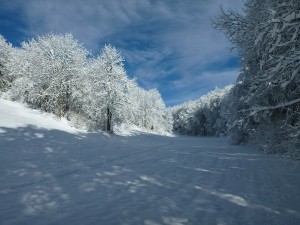 Vercors Ski de  randonnée nordique- Boucle de la Goulandière