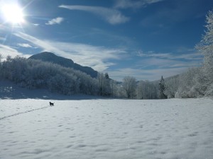 Vercors Ski de  randonnée nordique- Boucle de la Goulandière