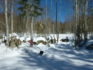 Vercors Ski de  randonnée nordique- Mini raid dans les Coulmes