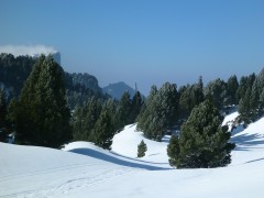 Ski de Randonnée Nordique Vercors