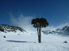 Ski de Randonnée Nordique Vercors