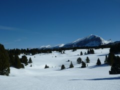 Ski de Rando nordique