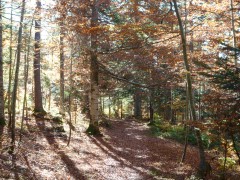 VTT Vercors Drôme