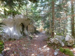 VTT Vercors Drôme