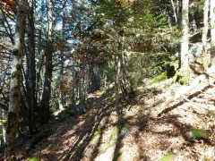 VTT Vercors Drôme