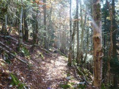 VTT Vercors Drôme