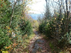 VTT Vercors, Gite des Rimets