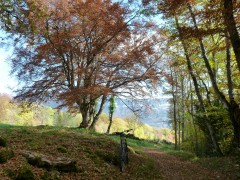 VTT Vercors, Gite des Rimets