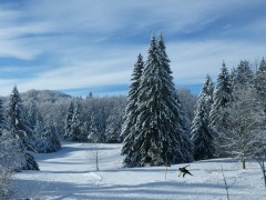 Pistes de ski de Fond des Coulmes