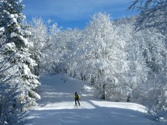 Pistes de ski de Fond des Coulmes