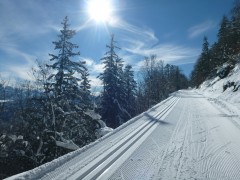 Pistes de ski de Fond des Coulmes