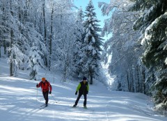 Pistes de ski de Fond des Coulmes