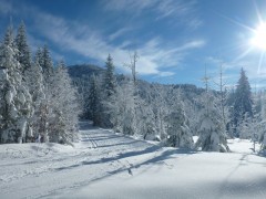 Pistes de ski de Fond des Coulmes