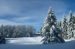 Pistes de ski de Fond des Coulmes