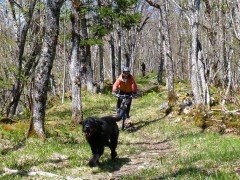 VTT Vercors Gite des Rimets