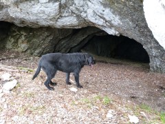 Grotte du Pas de la Chèvre