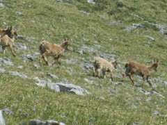 Tour des 4 Montagnes